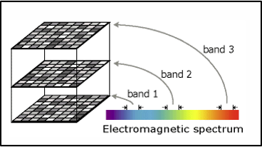 *Raster* multibande. Les bandes blues, vertes et rouges correspondent à des sections du spectre électromagnétique. Source: Esri. Image récupérée à https://desktop.arcgis.com/en/arcmap/10.3/manage-data/raster-and-images/raster-bands.htm.