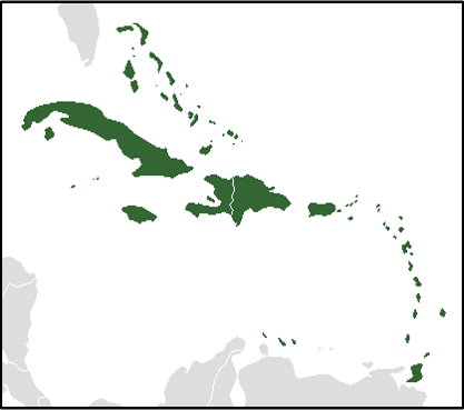 Les Antilles peuvent être représentées par plusieurs polygones distincts pour chaque île, ou par un seul multipolygone. Source : https://fr.wikipedia.org/wiki/Antilles