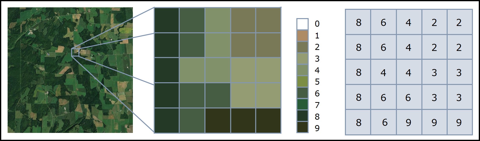 Exemple de données matricielles associées à des classes de végétation obtenues à partir d’une image satellitaire. Figure inspirée de NEON neonscience.org/resources/series/introduction-working-raster-data-r